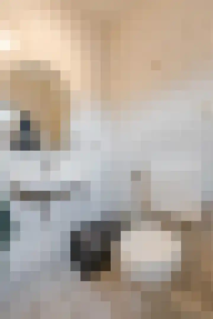 Langeweg 15 Emst thumbnail 25
