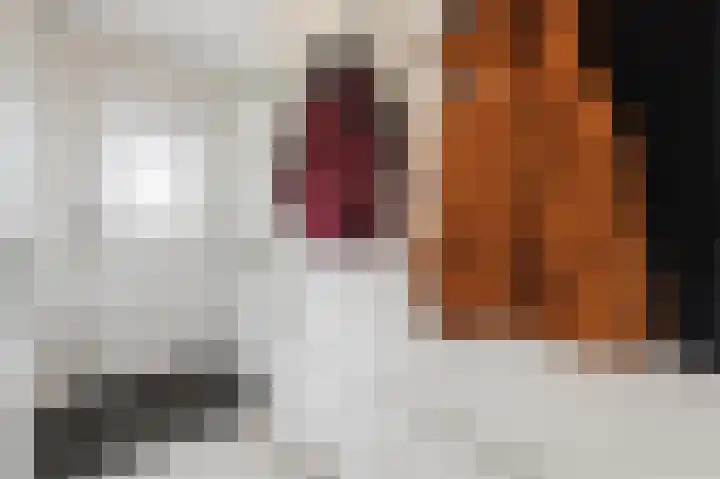 Langeweg 15 Emst thumbnail 28