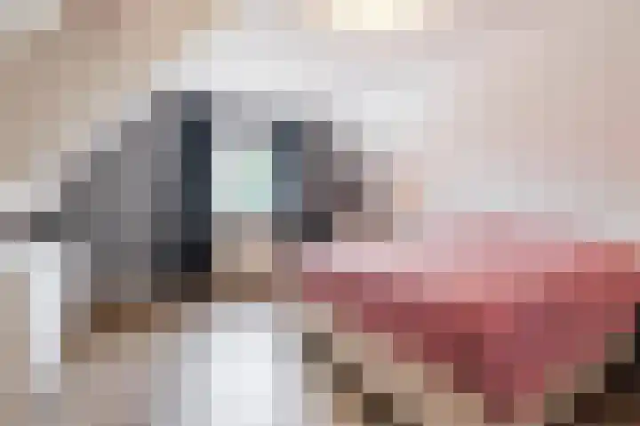 Langeweg 15 Emst thumbnail 33