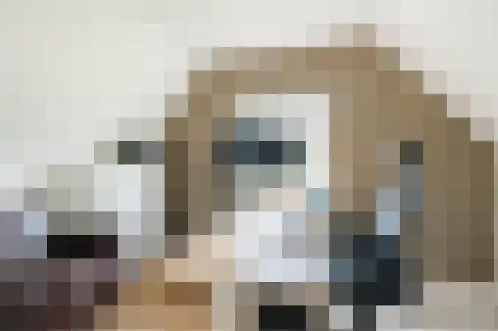 Langeweg 15 Emst thumbnail 39