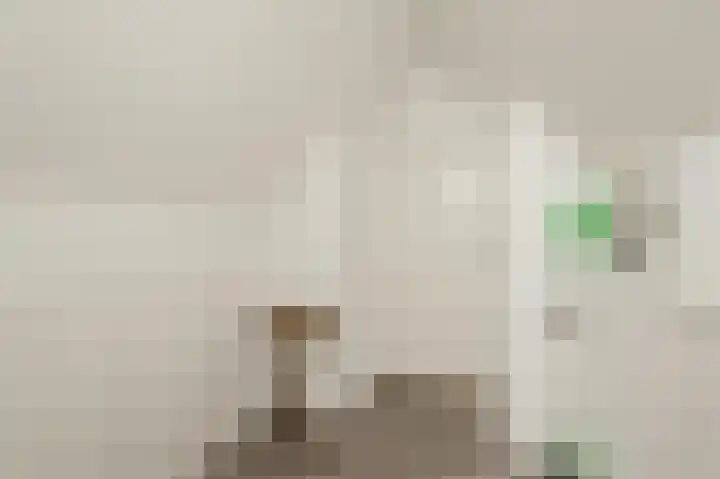 Langeweg 15 Emst thumbnail 44