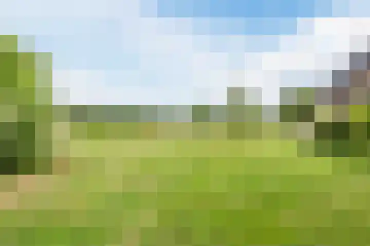 Langeweg 15 Emst thumbnail 55