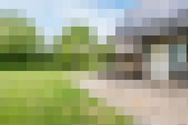 Langeweg 15 Emst thumbnail 56