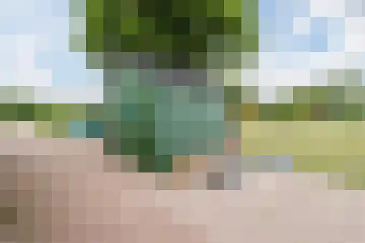 Langeweg 15 Emst thumbnail 59