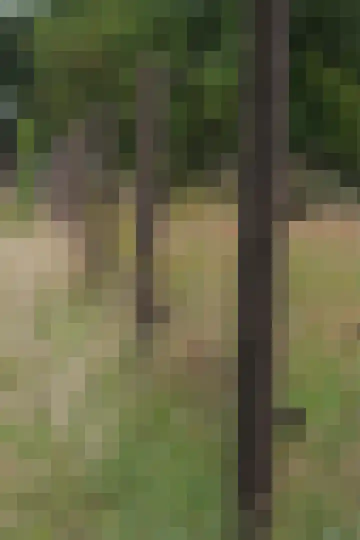 Langeweg 15 Emst thumbnail 66