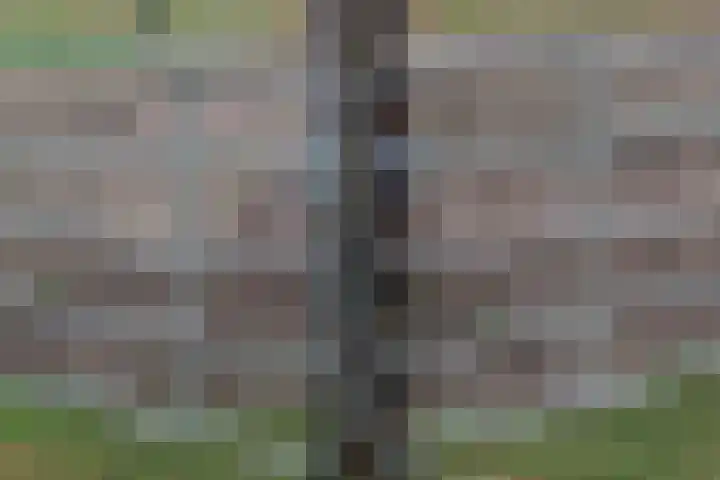 Langeweg 15 Emst thumbnail 67