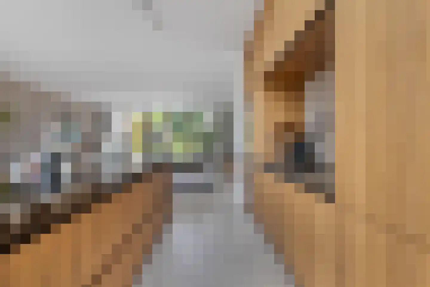 Langeweg 15 Oud-Beijerland thumbnail 15
