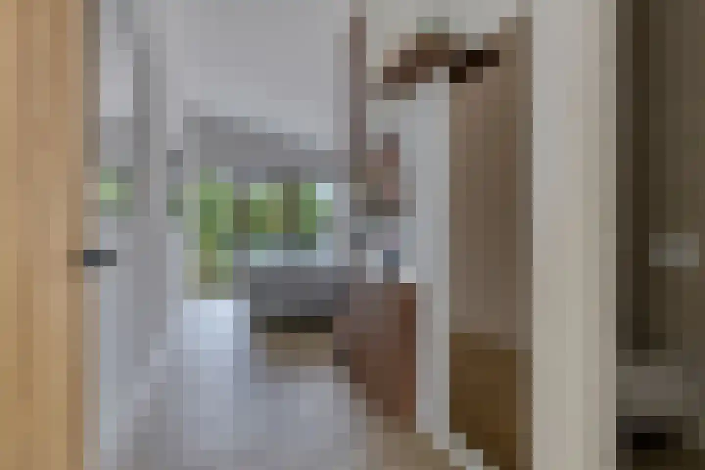 Langeweg 15 Oud-Beijerland thumbnail 35