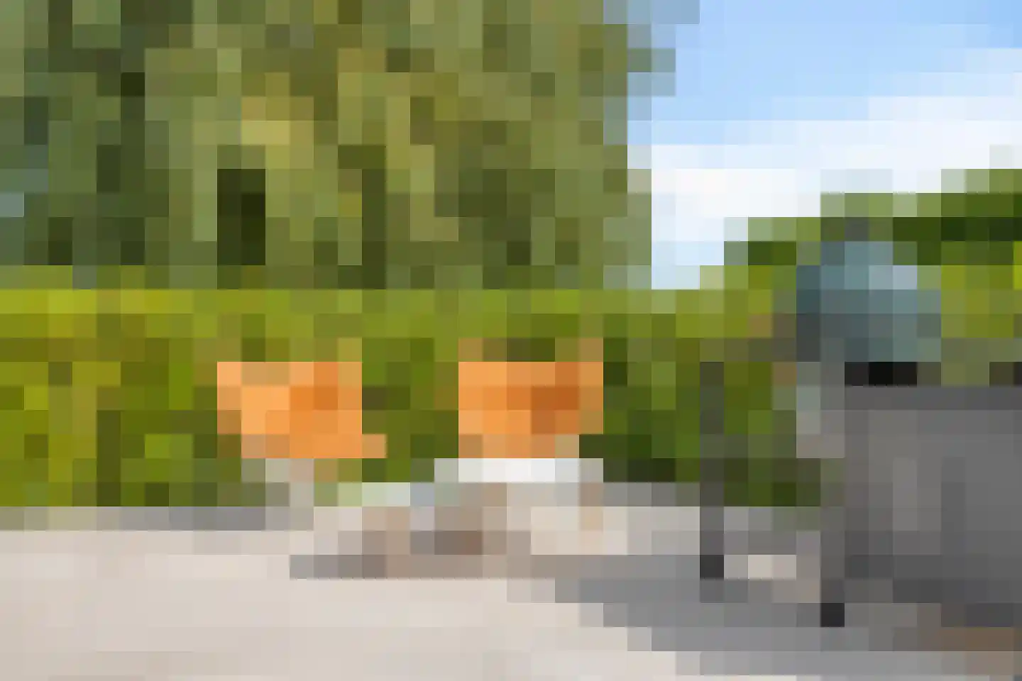 Langeweg 15 Oud-Beijerland thumbnail 53