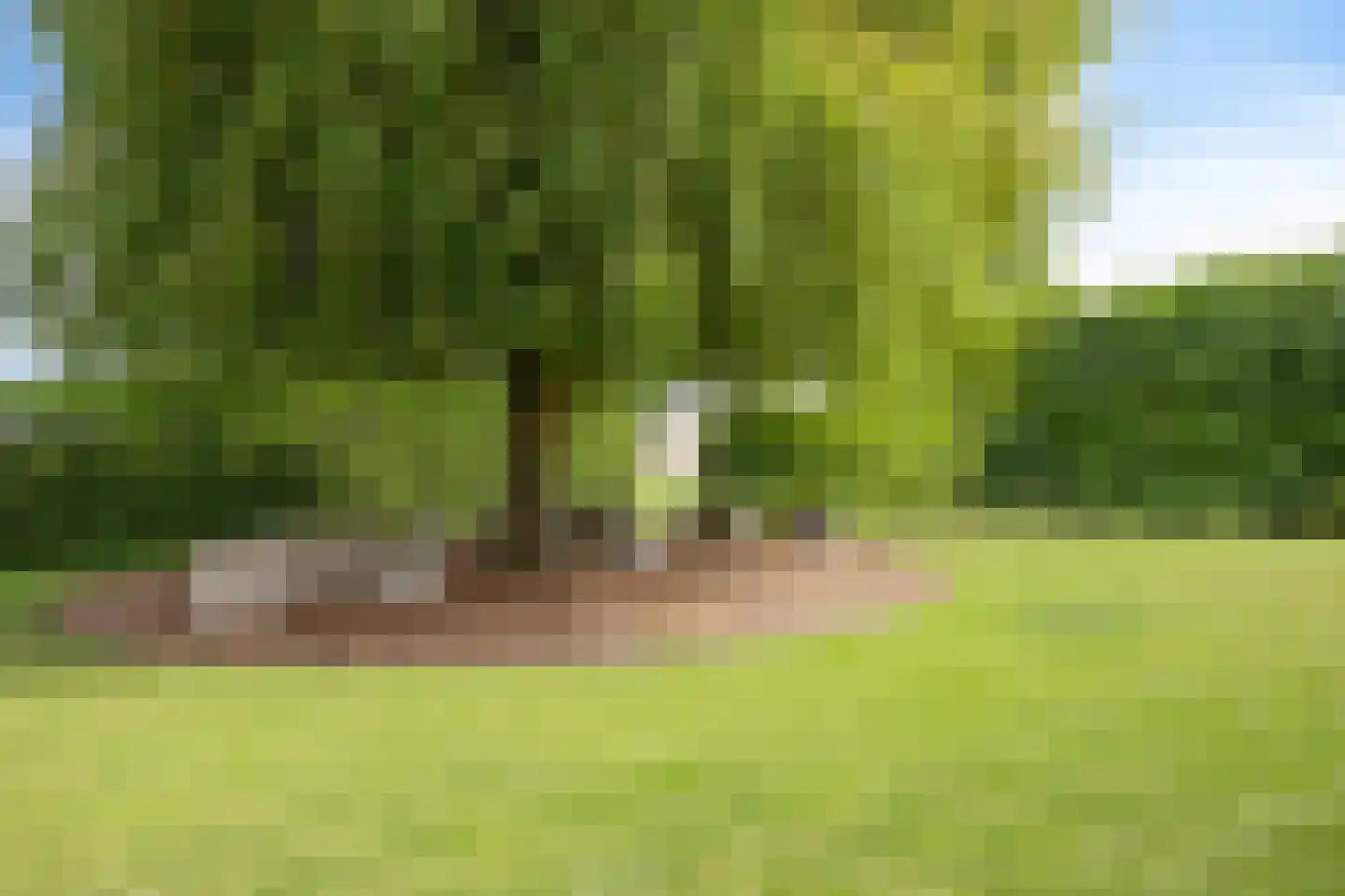 Langeweg 15 Oud-Beijerland thumbnail 54