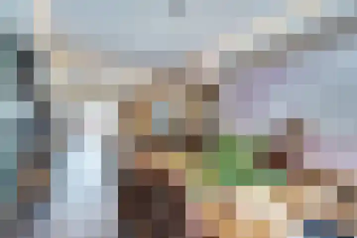 Langeweg 151 Vianen thumbnail 12