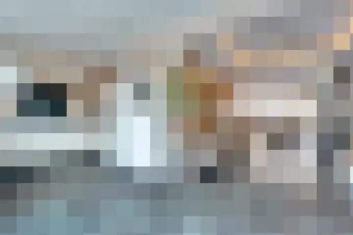 Langeweg 151 Vianen thumbnail 19