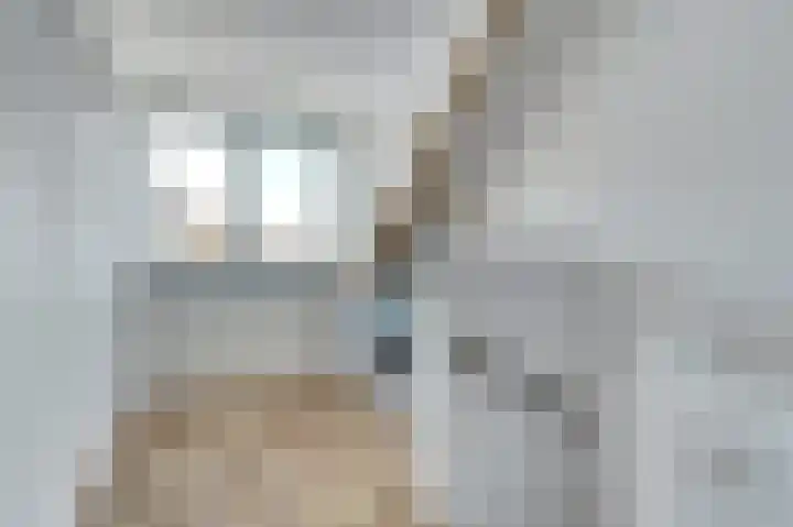 Langeweg 151 Vianen thumbnail 33