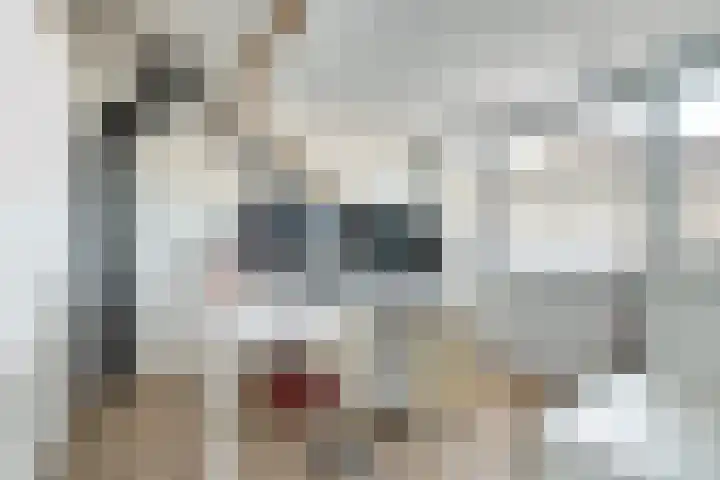 Langeweg 151 Vianen thumbnail 35