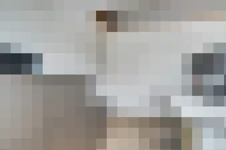 Langeweg 151 Vianen thumbnail 36