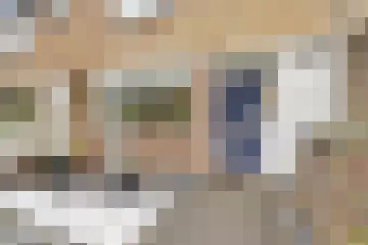 Langeweg 151 Vianen thumbnail 4