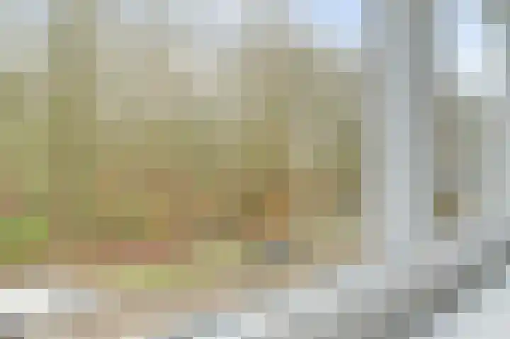 Langeweg 151 Vianen thumbnail 43