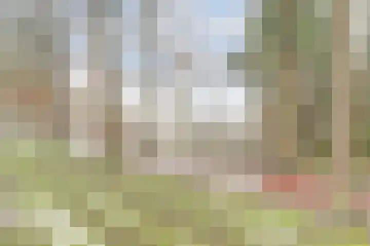 Langeweg 151 Vianen thumbnail 50