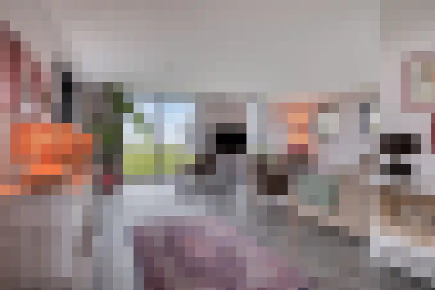 Langeweg 153 b Sommelsdijk thumbnail 12