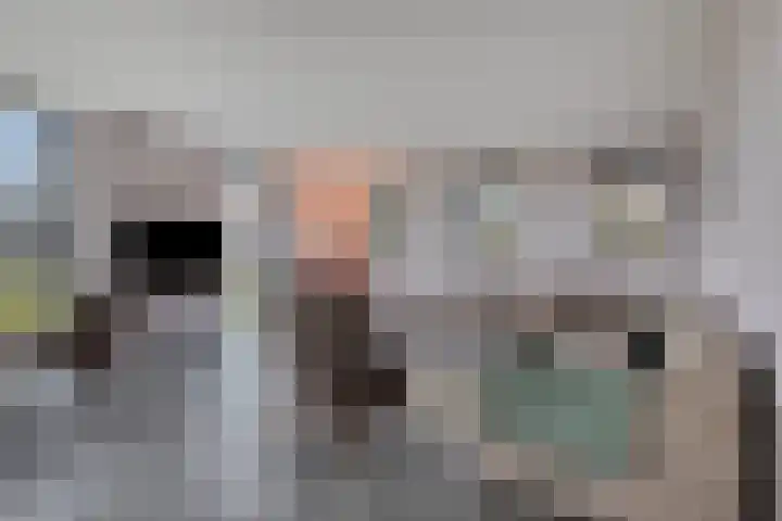 Langeweg 153 b Sommelsdijk thumbnail 12