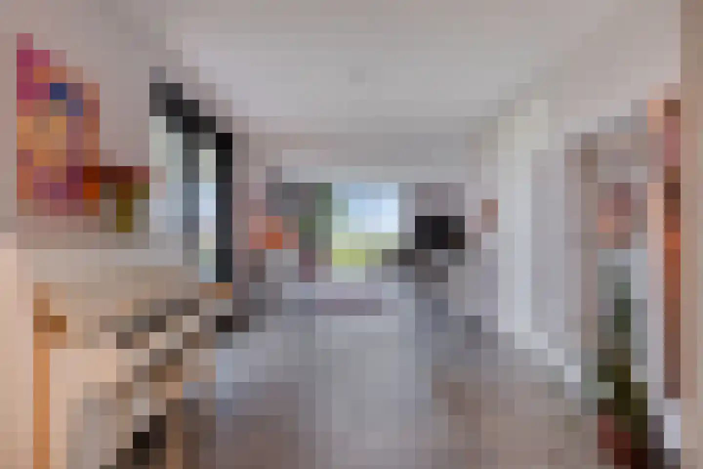 Langeweg 153 b Sommelsdijk thumbnail 13