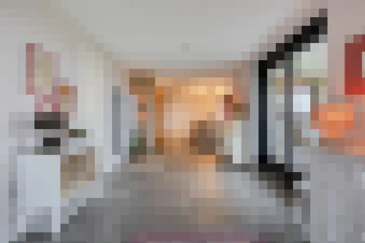 Langeweg 153 b Sommelsdijk thumbnail 19
