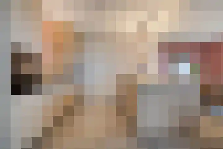 Langeweg 153 b Sommelsdijk thumbnail 19