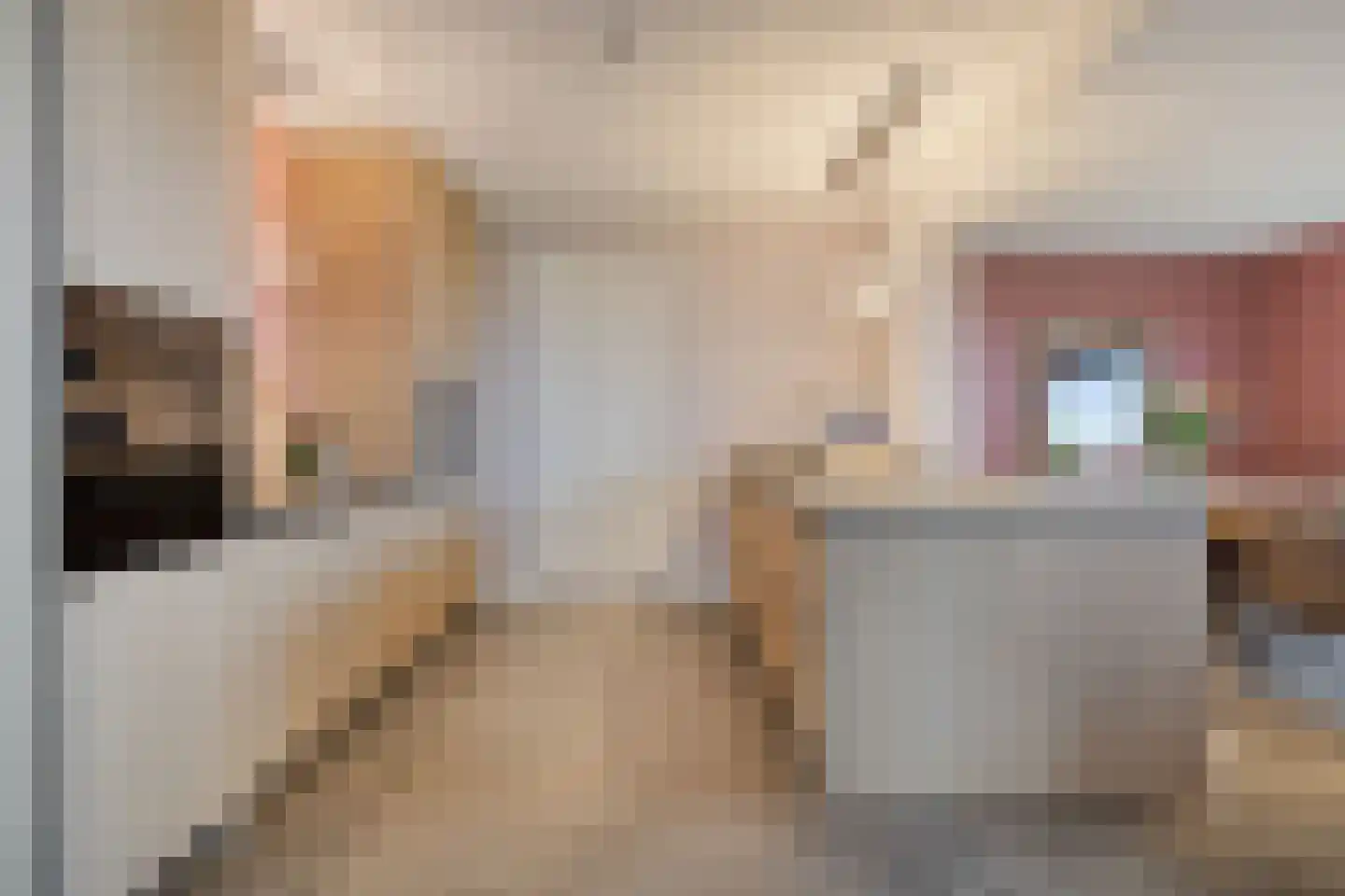 Langeweg 153 b Sommelsdijk thumbnail 21