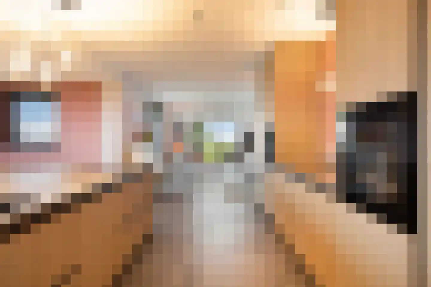 Langeweg 153 b Sommelsdijk thumbnail 25