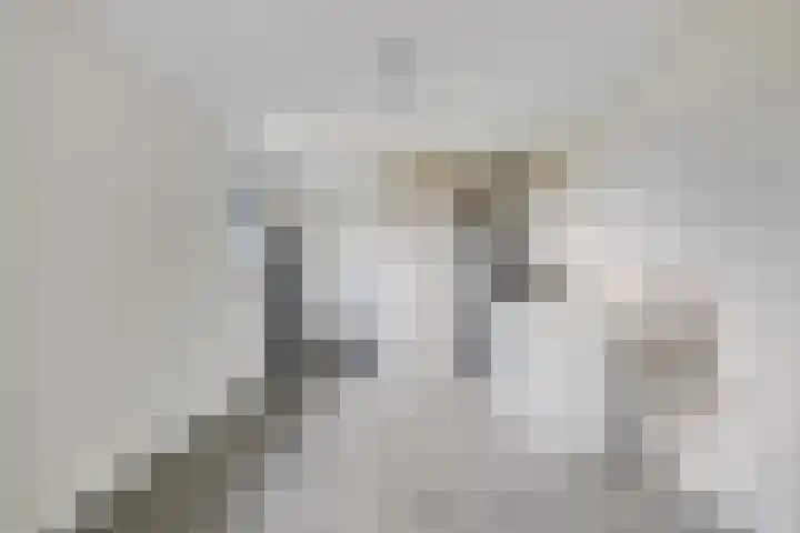 Langeweg 153 b Sommelsdijk thumbnail 31