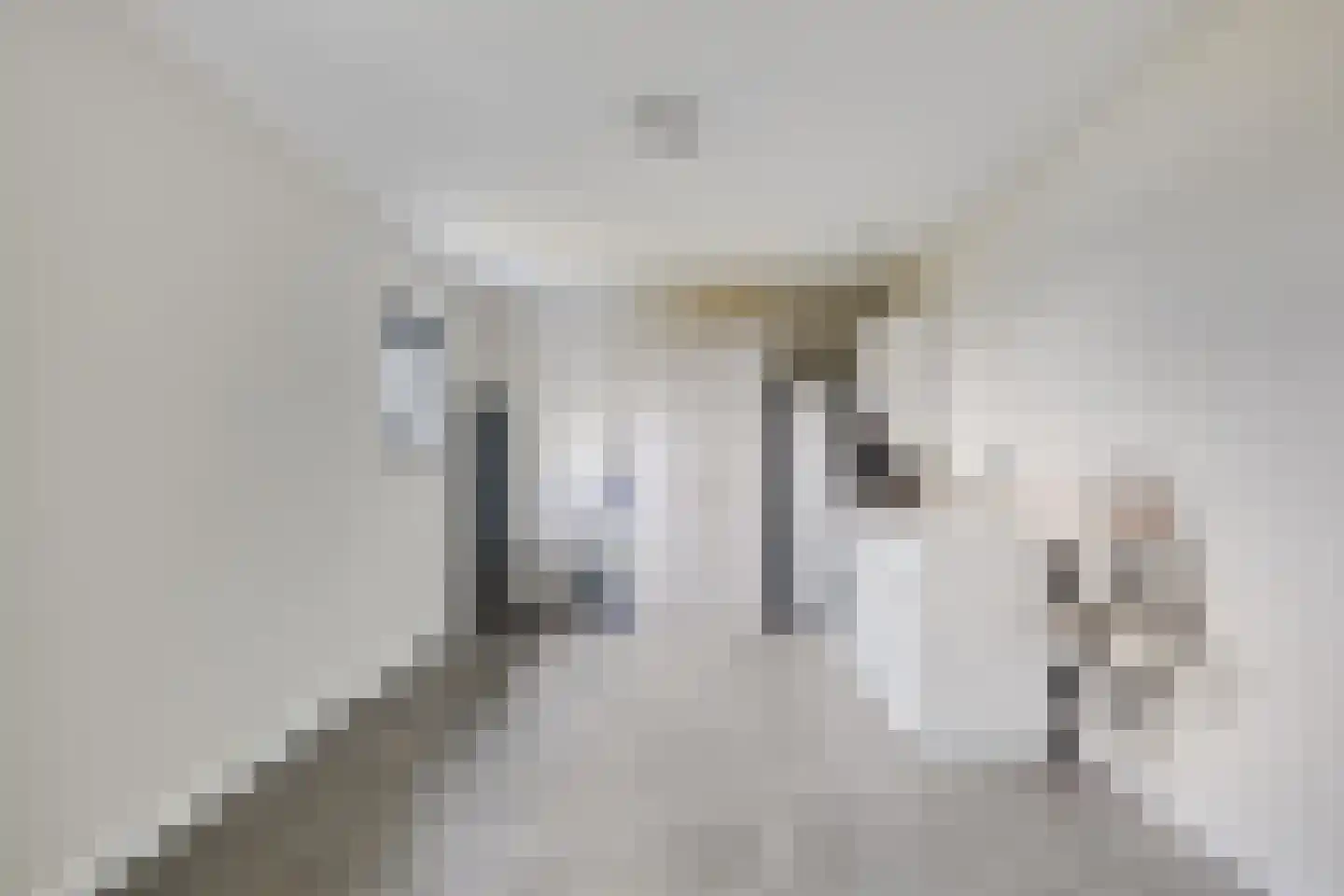 Langeweg 153 b Sommelsdijk thumbnail 33