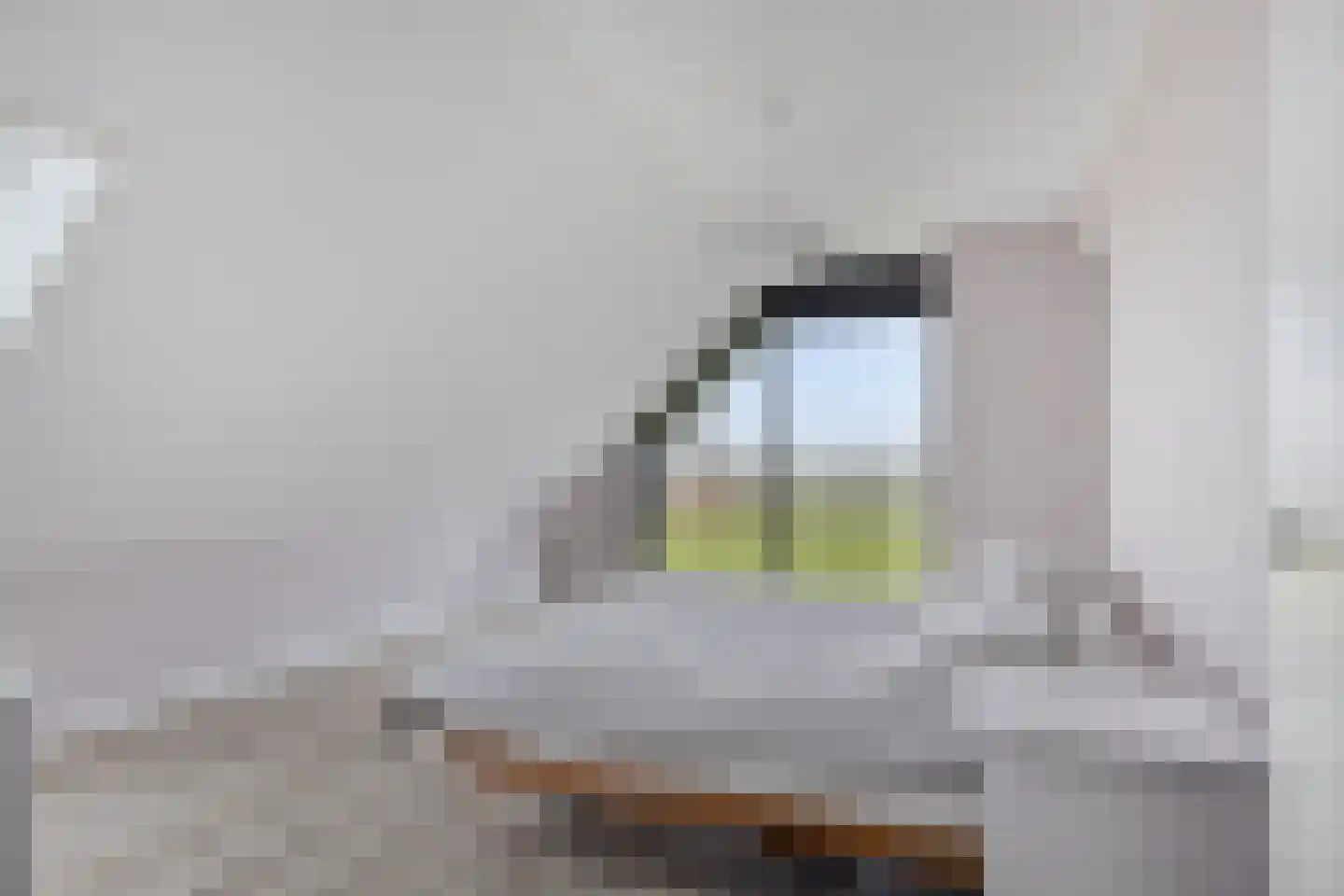 Langeweg 153 b Sommelsdijk thumbnail 35
