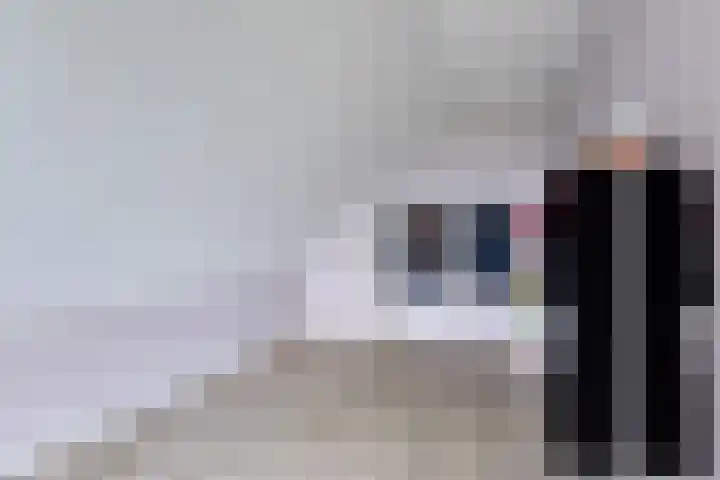 Langeweg 153 b Sommelsdijk thumbnail 36
