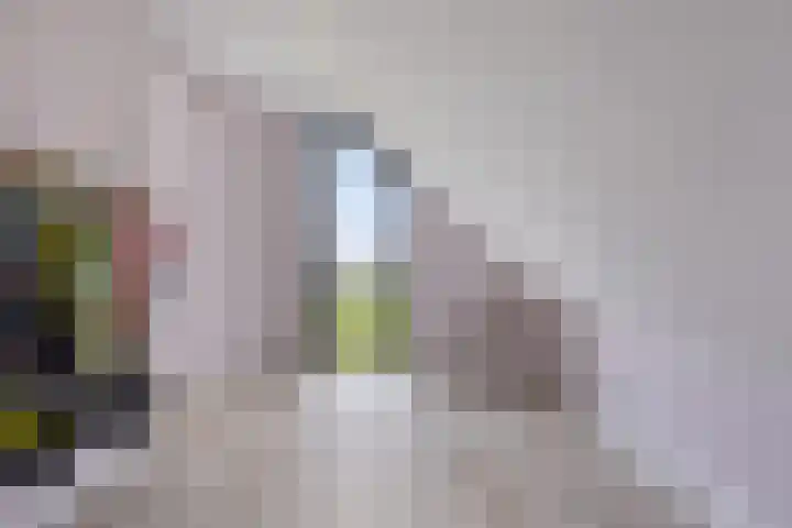 Langeweg 153 b Sommelsdijk thumbnail 37