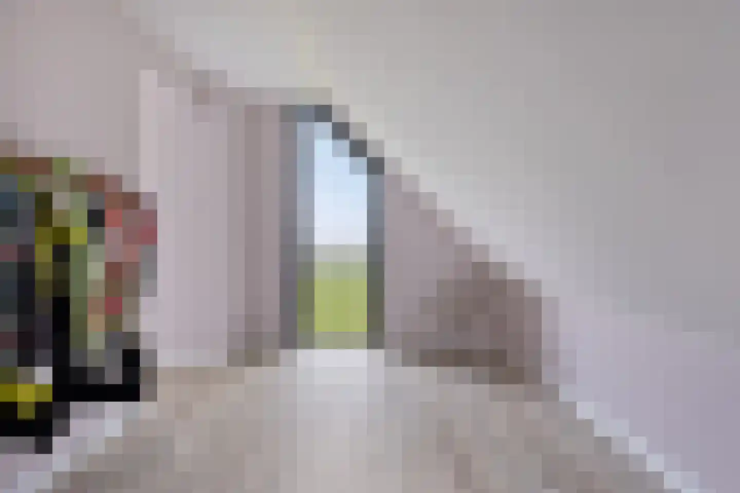 Langeweg 153 b Sommelsdijk thumbnail 39