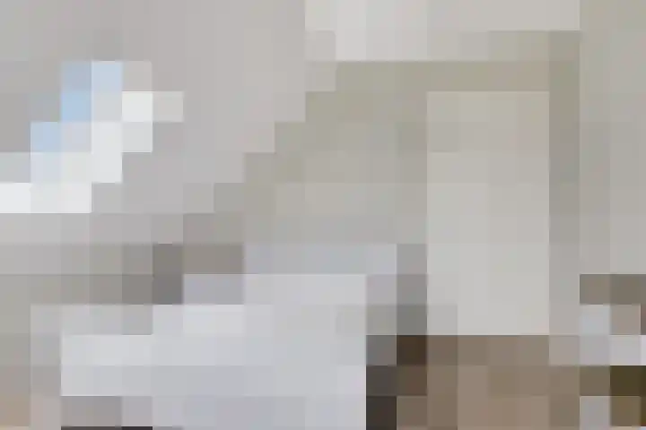 Langeweg 153 b Sommelsdijk thumbnail 41