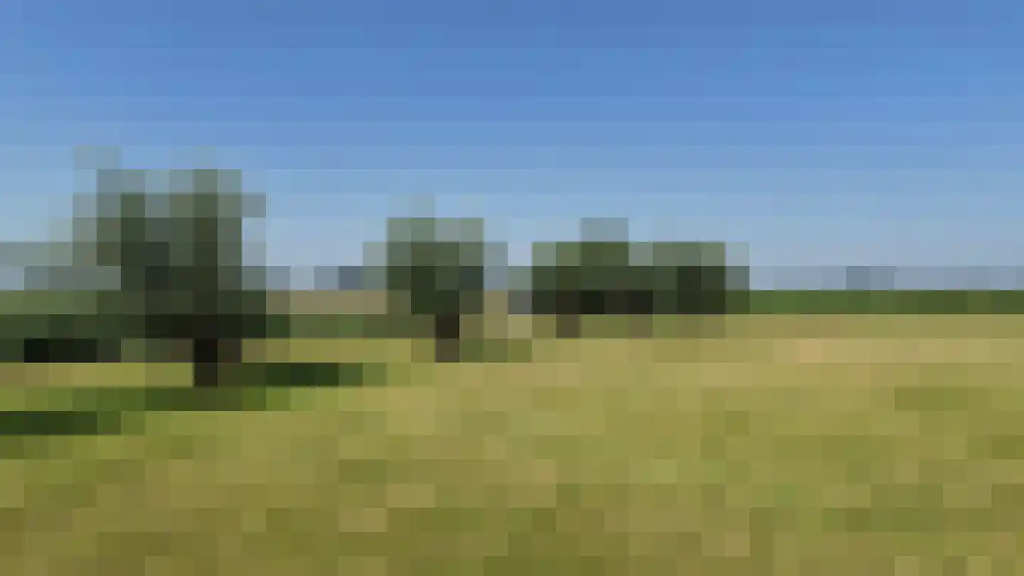 Langeweg 153 b Sommelsdijk thumbnail 50