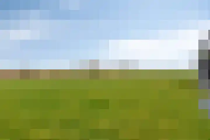 Langeweg 153 b Sommelsdijk thumbnail 50