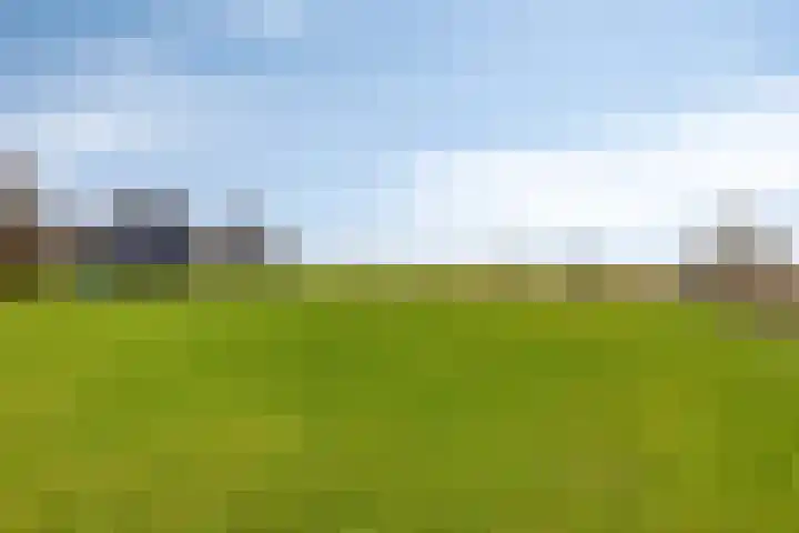 Langeweg 153 b Sommelsdijk thumbnail 56