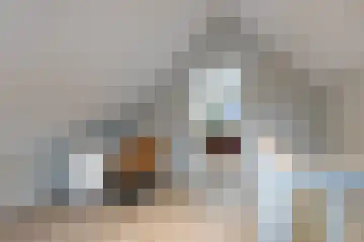 Langeweg 153 b Sommelsdijk thumbnail 66