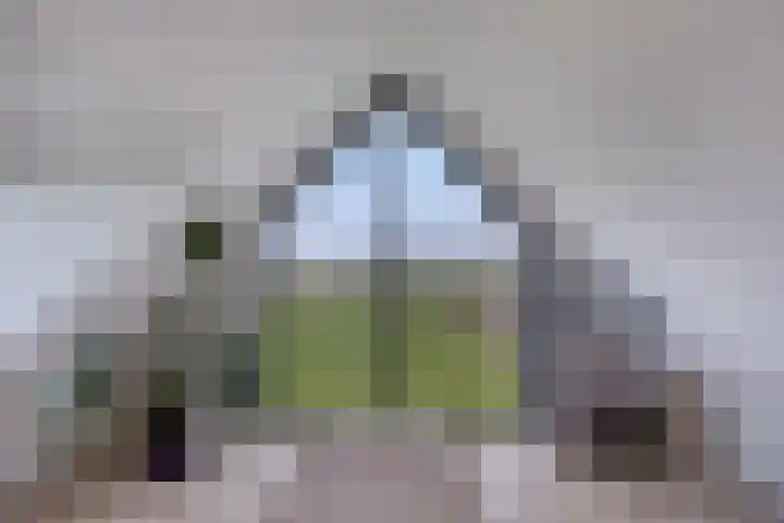 Langeweg 153 b Sommelsdijk thumbnail 70