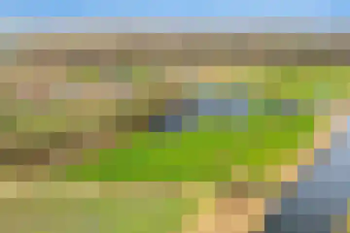 Langeweg 153 b Sommelsdijk thumbnail 76