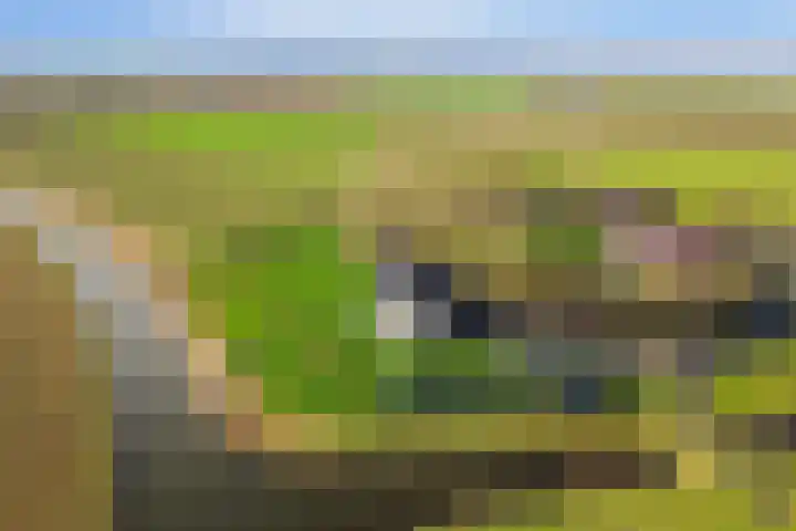 Langeweg 153 b Sommelsdijk thumbnail 81