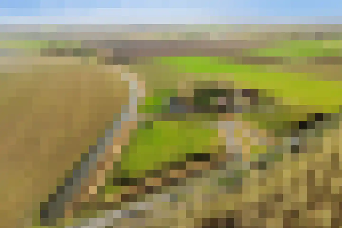Langeweg 153 b Sommelsdijk thumbnail 82