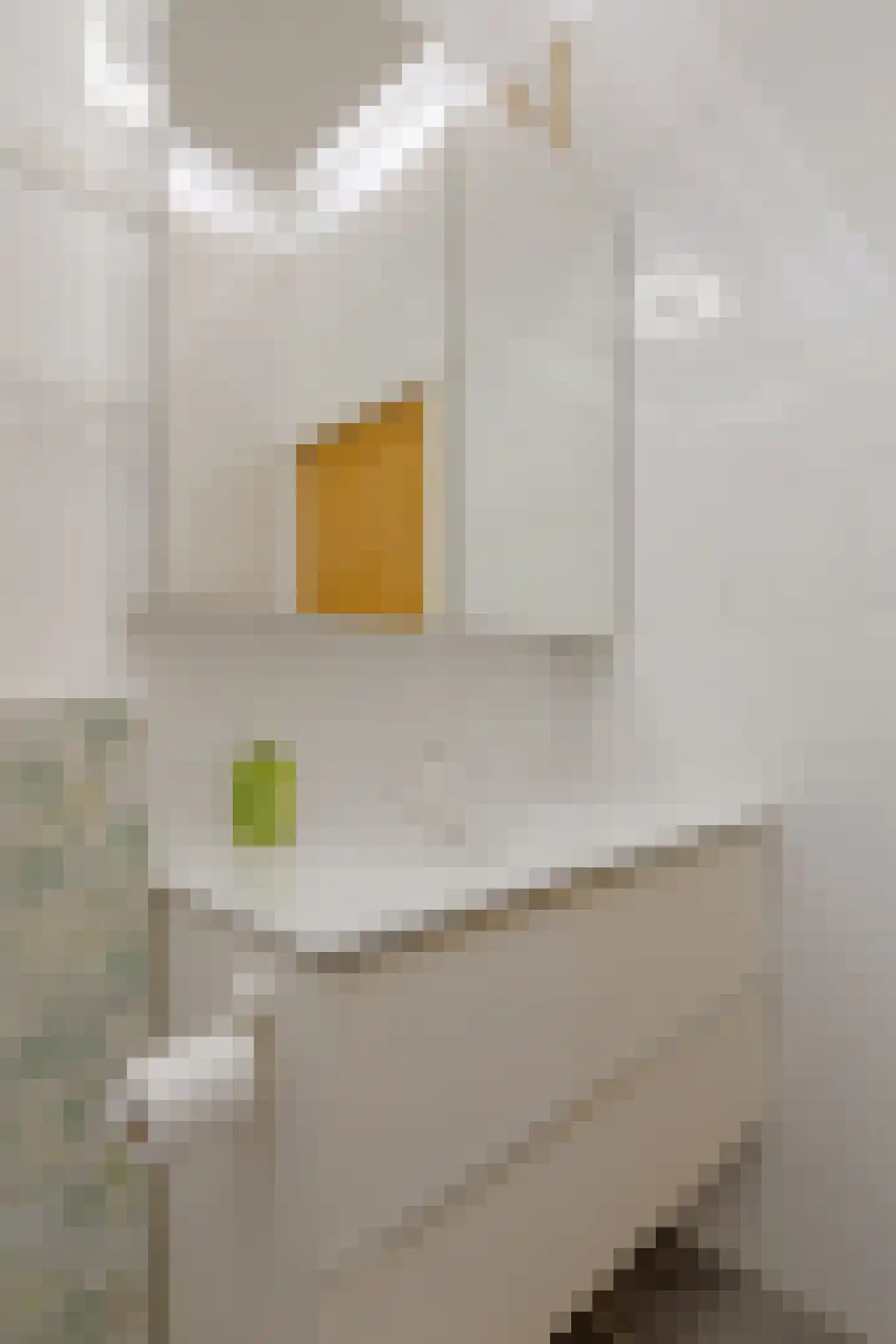 Langeweg 16 Ooltgensplaat thumbnail 40