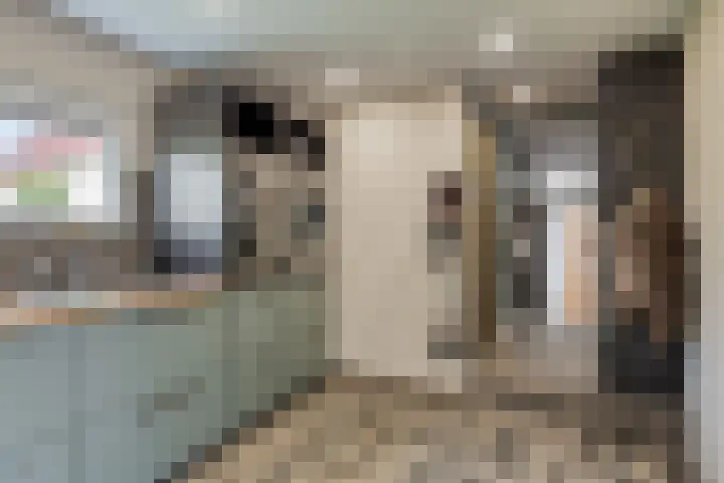 Langeweg 16 Ooltgensplaat thumbnail 48