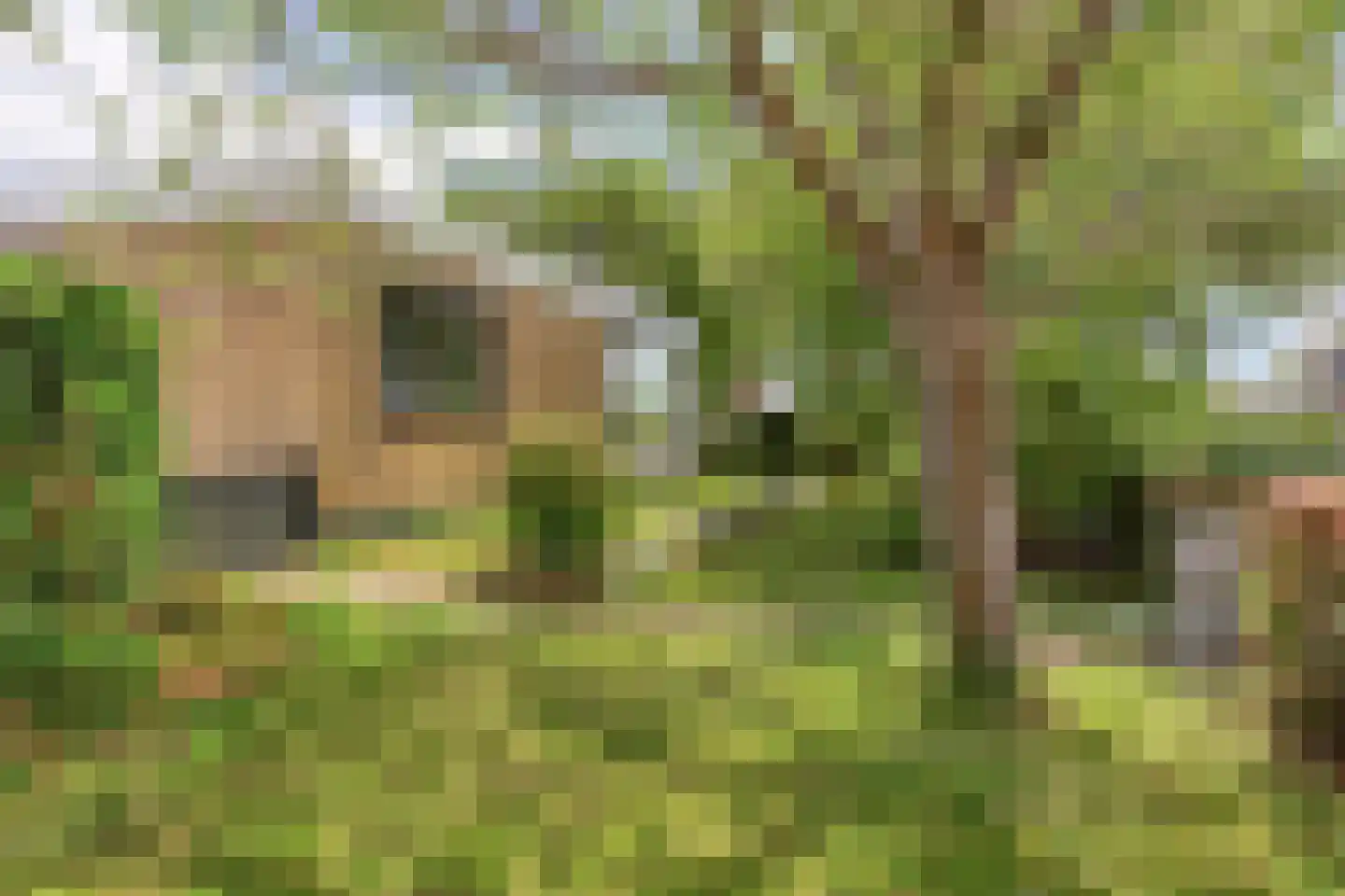 Langeweg 16 Ooltgensplaat thumbnail 62