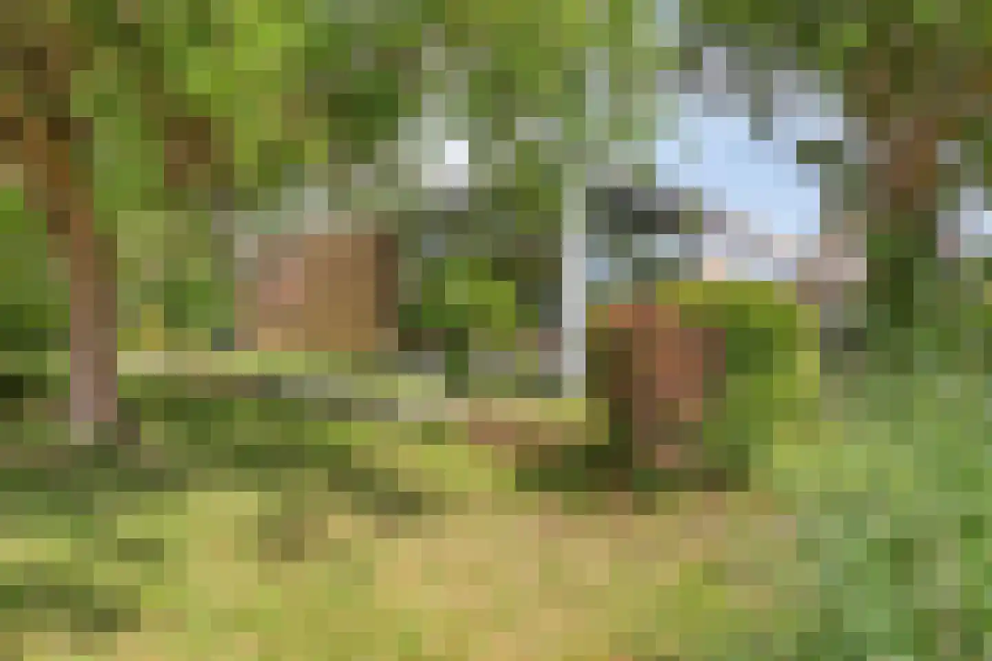 Langeweg 16 Ooltgensplaat thumbnail 64