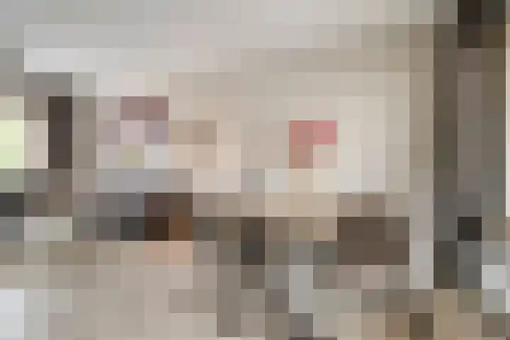 Langeweg 17 Breskens thumbnail 14