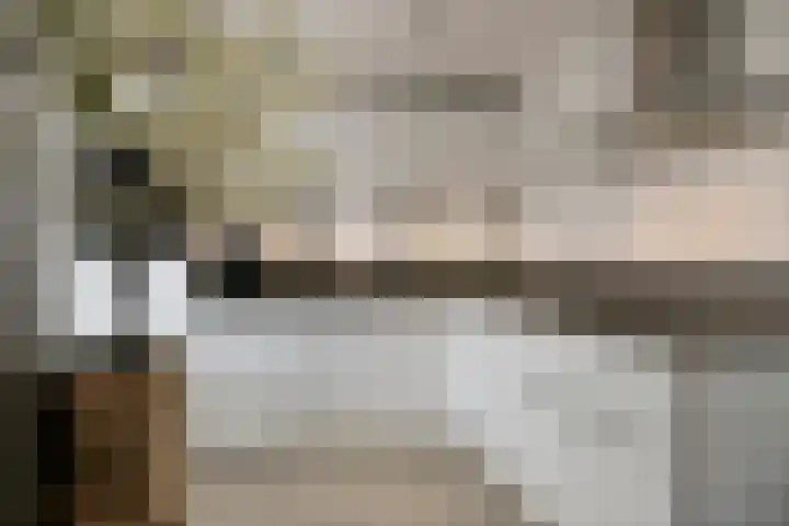 Langeweg 17 Breskens thumbnail 15